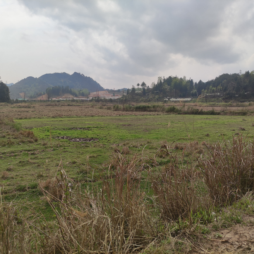 1647421696316784.png 圖片關(guān)鍵詞