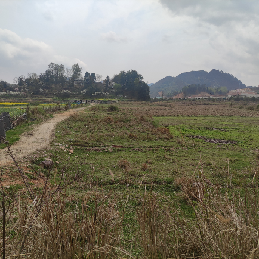 1647421696762695.png 圖片關(guān)鍵詞