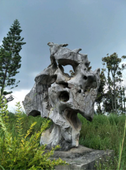 1667187008480777.png 微信圖片_20221031111045.png