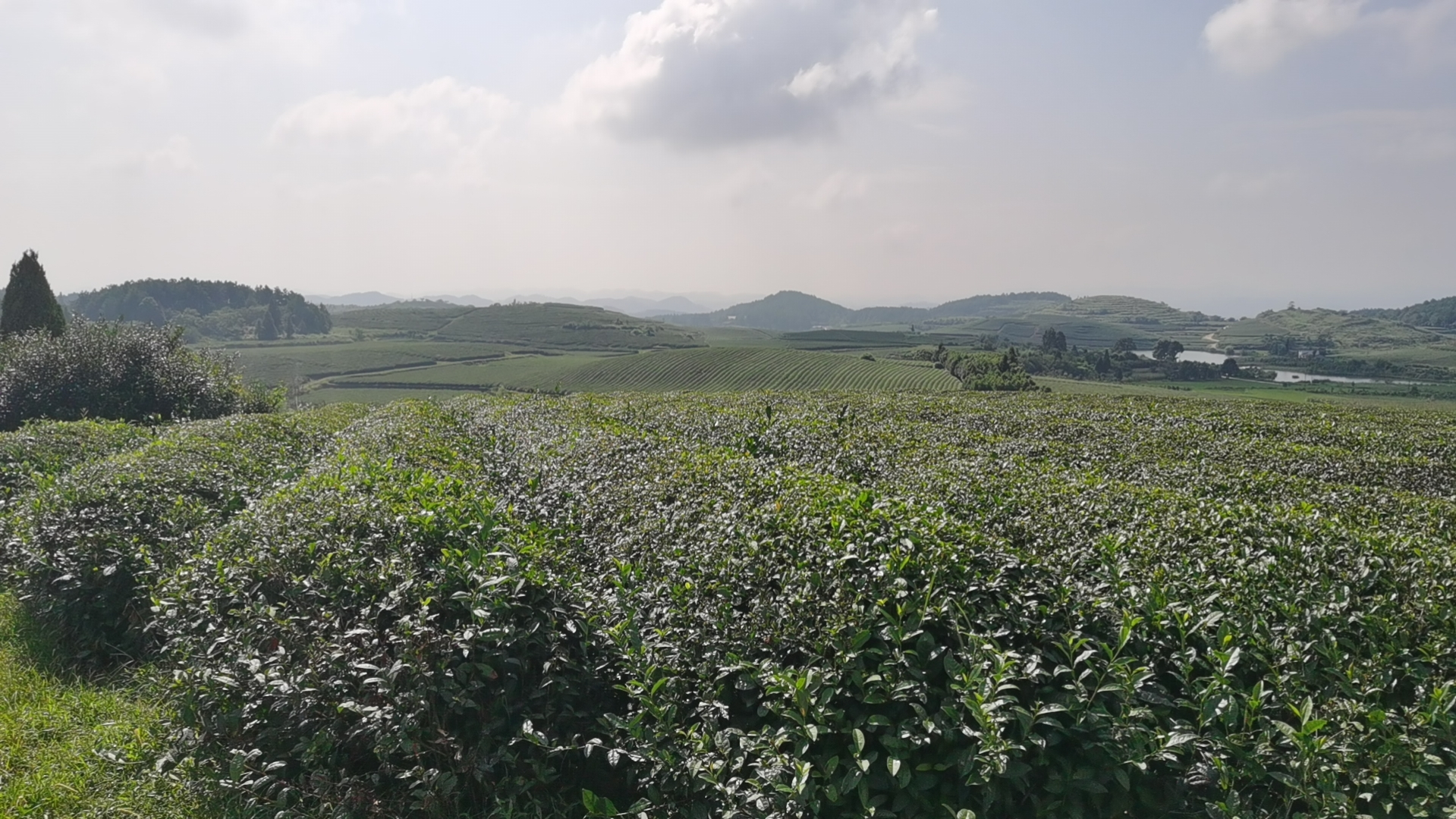 1698128306538098.png 圖片2.png