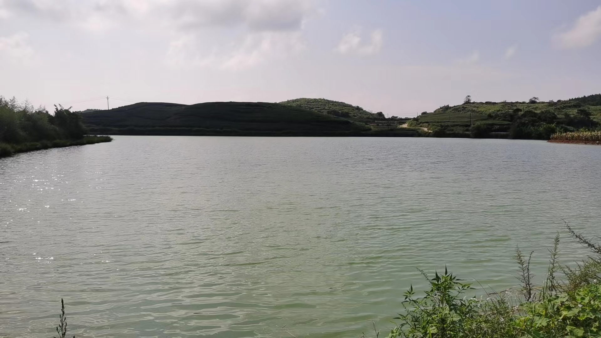 1698128524633740.png 圖片4.png