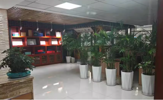 1733467051269254.png image.png