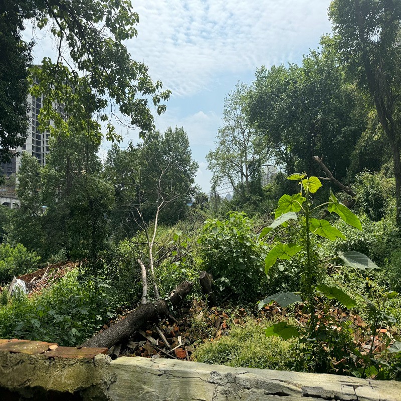 圖片關(guān)鍵詞