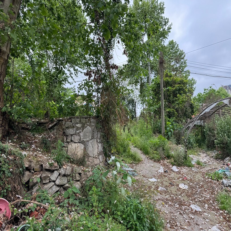 圖片關(guān)鍵詞