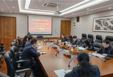 貴州陽光產(chǎn)權(quán)黨委召開黨史學(xué)習(xí)教育專題民主生活會