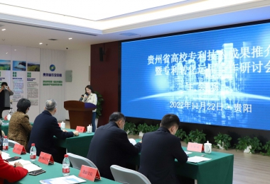 加強(qiáng)知識(shí)產(chǎn)權(quán)運(yùn)營(yíng) 助力實(shí)體經(jīng)濟(jì)發(fā)展——貴州省高校專(zhuān)利技術(shù)成果推介會(huì)暨專(zhuān)利轉(zhuǎn)化運(yùn)用研討會(huì)圓滿召開(kāi)