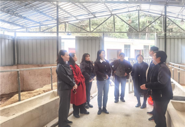 貴州陽(yáng)光產(chǎn)權(quán)交易所開展鄉(xiāng)村振興調(diào)研和普法宣傳