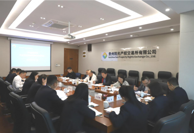 貴州省地方金融監(jiān)管局、貴州證監(jiān)局、貴陽市金融辦到貴州陽光產(chǎn)權(quán)交易所、貴州環(huán)交所開展權(quán)益類交易場所調(diào)研