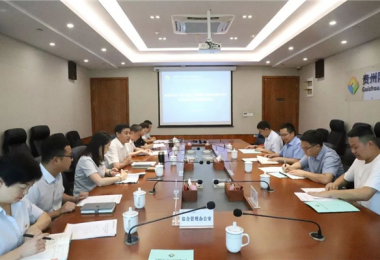 西南聯(lián)合產(chǎn)權(quán)交易所、西藏電子商務(wù)有限公司與貴州陽光產(chǎn)權(quán)交易所交流座談會