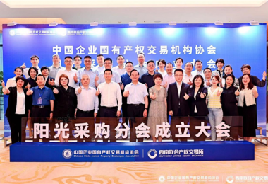 貴州陽光產(chǎn)權(quán)交易所參加中國企業(yè)國有產(chǎn)權(quán)交易機(jī)構(gòu)協(xié)會(huì)陽光采購分會(huì)成立大會(huì)
