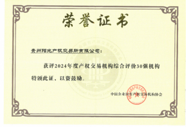 喜訊！貴州陽(yáng)光產(chǎn)權(quán)交易所獲得2024年度全國(guó)產(chǎn)權(quán)交易機(jī)構(gòu)2項(xiàng)30強(qiáng)榮譽(yù)