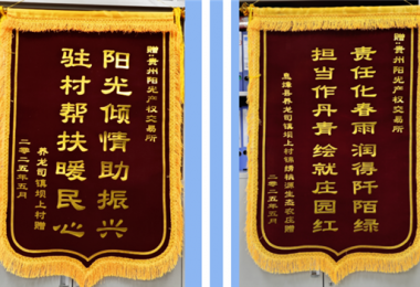 雙錦映紅鄉(xiāng)村振興路  陽光傾情澆灌壩上“春”——陽光產(chǎn)權交易所駐村幫扶獲贈感恩錦旗