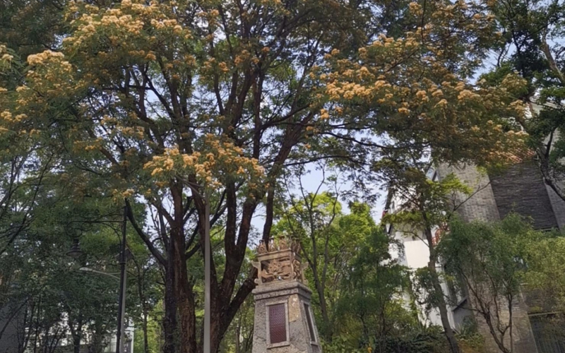 云南省大理山水間二期一組團草鷺4－2號房產(chǎn)轉讓(二次掛牌)